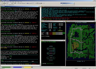 Screenshot of the Aardwolf client.